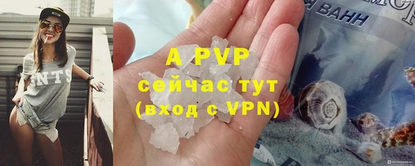 прущие грибы Балабаново