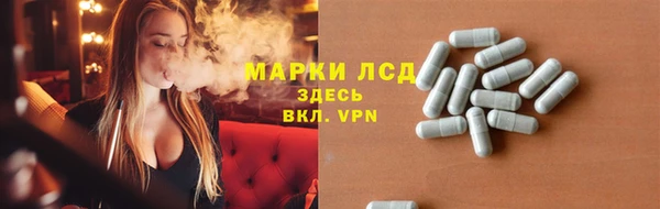 прущие грибы Балабаново
