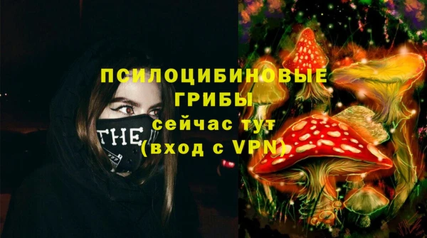 марки lsd Гатчина