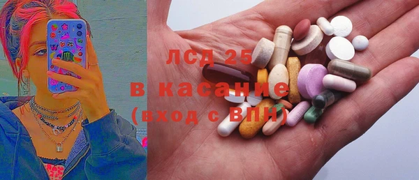 прущие грибы Балабаново