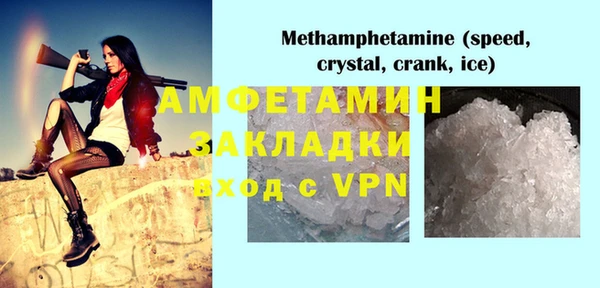 прущие грибы Балабаново