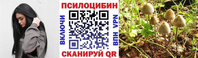 Псилоцибиновые грибы мухоморы  Кубинка 